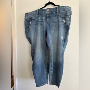 Torrid Premium Skinny Jeans